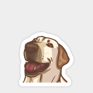 Dog - Cleo White Lab Sticker